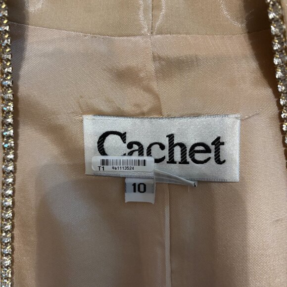 Cachet Champagne Formal Dress Size 10 - Picture 6 of 6